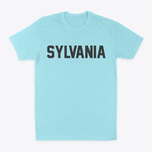 Sylvania Pennsylvania Classic Block Classic Dad T-Shirt