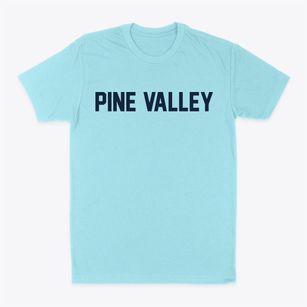Pine Valley New York Classic Block Classic Dad T-Shirt