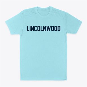 Lincolnwood Illinois Classic Block Classic Dad T-Shirt