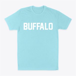 Buffalo Ohio Classic Block Classic Dad T-Shirt