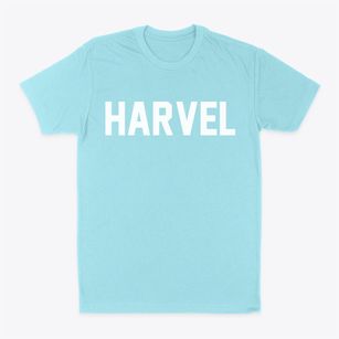 Harvel Illinois Classic Block Classic Dad T-Shirt