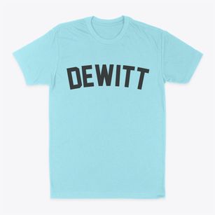 Dewitt Iowa Classic Curve Classic Dad T-Shirt