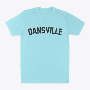 Dansville New York Classic Curve Classic Dad T-Shirt
