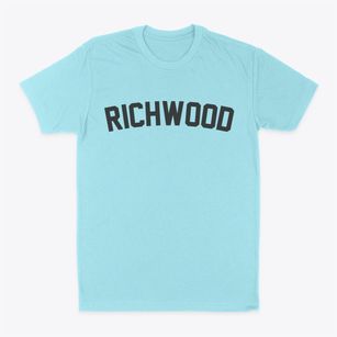Richwood West Virginia Classic Curve Classic Dad T-Shirt