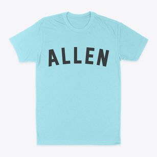 Allen Texas Classic Curve Classic Dad T-Shirt