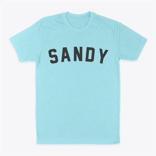 Sandy Oregon Classic Curve Classic Dad T-Shirt