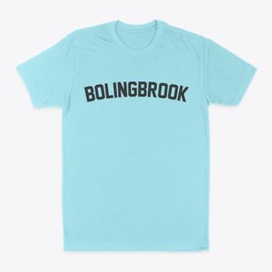 Bolingbrook Illinois Classic Curve Classic Dad T-Shirt