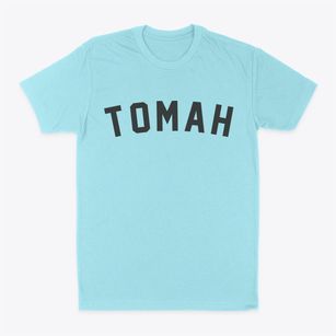 Tomah Wisconsin Classic Curve Classic Dad T-Shirt