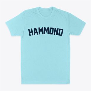Hammond Wisconsin Classic Curve Classic Dad T-Shirt
