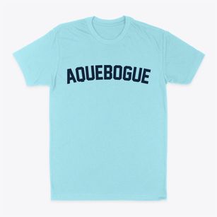 Aquebogue New York Classic Curve Classic Dad T-Shirt