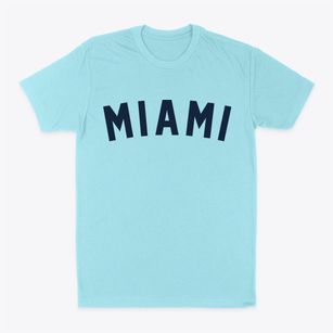 Miami Arizona Classic Curve Classic Dad T-Shirt
