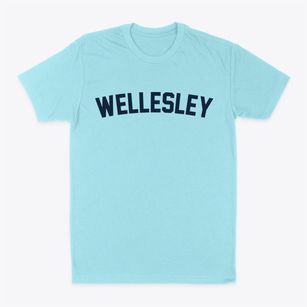 Wellesley Massachusetts Classic Curve Classic Dad T-Shirt
