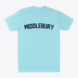 Middlebury New York Classic Curve Classic Dad T-Shirt