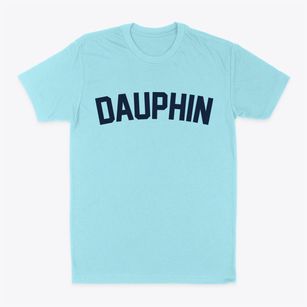 Dauphin Pennsylvania Classic Curve Classic Dad T-Shirt