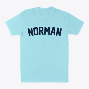 Norman North Carolina Classic Curve Classic Dad T-Shirt