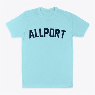 Allport Arkansas Classic Curve Classic Dad T-Shirt
