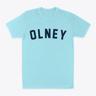 Olney Illinois Classic Curve Classic Dad T-Shirt