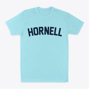 Hornell New York Classic Curve Classic Dad T-Shirt