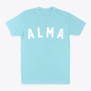 Alma Arkansas Classic Curve Classic Dad T-Shirt