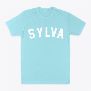 Sylva North Carolina Classic Curve Classic Dad T-Shirt