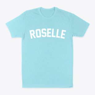 Roselle New Jersey Classic Curve Classic Dad T-Shirt