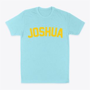 Joshua Texas Classic Curve Classic Dad T-Shirt