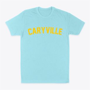 Caryville Florida Classic Curve Classic Dad T-Shirt