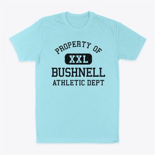 Bushnell Illinois Athletic Dept Classic Dad T-Shirt