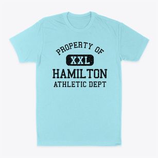 Hamilton Wisconsin Athletic Dept Classic Dad T-Shirt