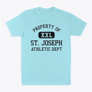 St. Joseph Michigan Athletic Dept Classic Dad T-Shirt