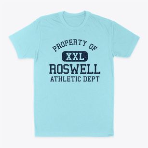 Roswell Ohio Athletic Dept Classic Dad T-Shirt