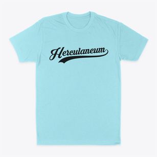 Herculaneum Missouri Vintage Team Classic Dad T-Shirt