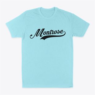 Montrose Minnesota Vintage Team Classic Dad T-Shirt