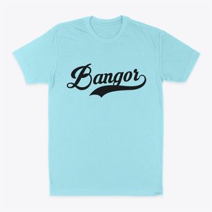 Bangor New York Vintage Team Classic Dad T-Shirt