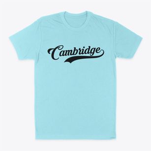 Cambridge Nebraska Vintage Team Classic Dad T-Shirt