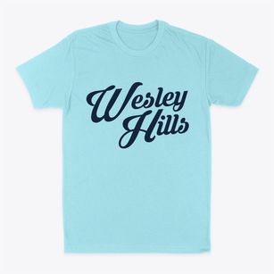 Wesley Hills New York Vintage Team Classic Dad T-Shirt