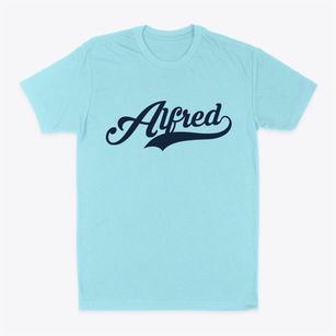 Alfred New York Vintage Team Classic Dad T-Shirt
