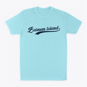 Barnum Island New York Vintage Team Classic Dad T-Shirt