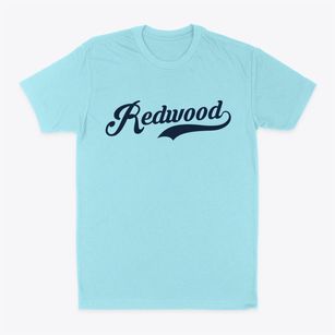 Redwood New York Vintage Team Classic Dad T-Shirt