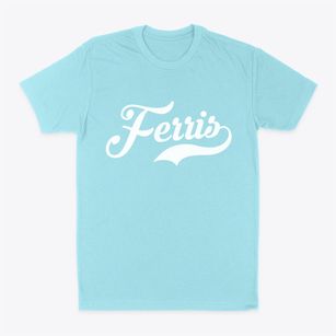 Ferris Texas Vintage Team Classic Dad T-Shirt