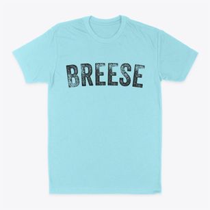 Breese Illinois Timeless Retro Classic Dad T-Shirt