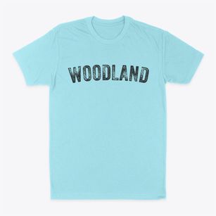 Woodland Wisconsin Timeless Retro Classic Dad T-Shirt