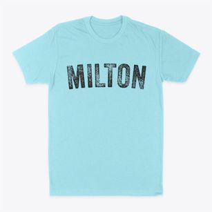 Milton New York Timeless Retro Classic Dad T-Shirt