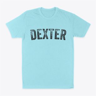 Dexter Wisconsin Timeless Retro Classic Dad T-Shirt