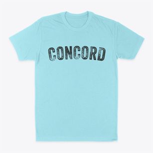 Concord Missouri Timeless Retro Classic Dad T-Shirt