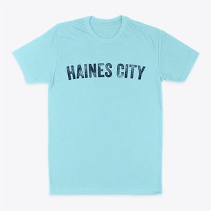 Haines City Florida Timeless Retro Classic Dad T-Shirt