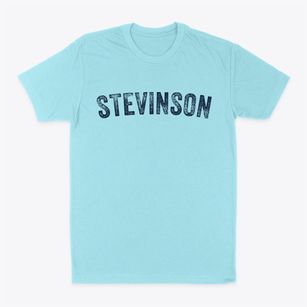 Stevinson California Timeless Retro Classic Dad T-Shirt