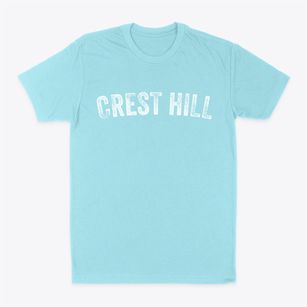 Crest Hill Illinois Timeless Retro Classic Dad T-Shirt