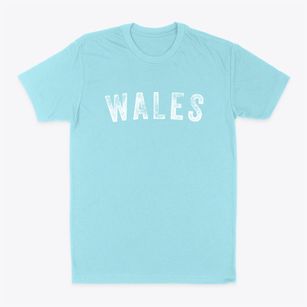Wales Utah Timeless Retro Classic Dad T-Shirt