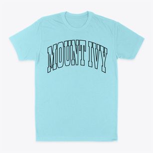 Mount Ivy New York Trendy Block Classic Dad T-Shirt